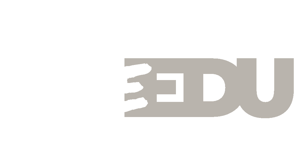 Tijana Ilic Education